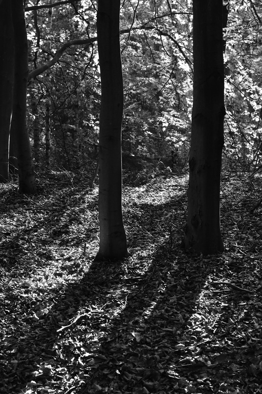 2018-10 Prague/Sächsische Schweiz/DSC_5839.JPG